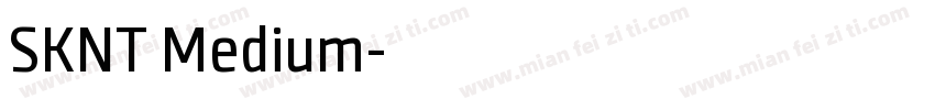 SKNT Medium字体转换